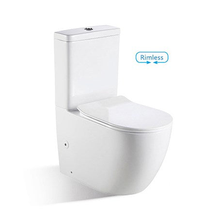 Rimless Toilet Flush