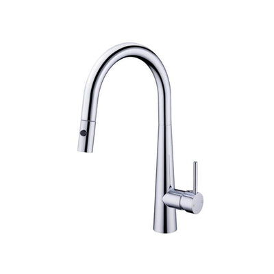 Dolce Pull Out Kitchen Mixer