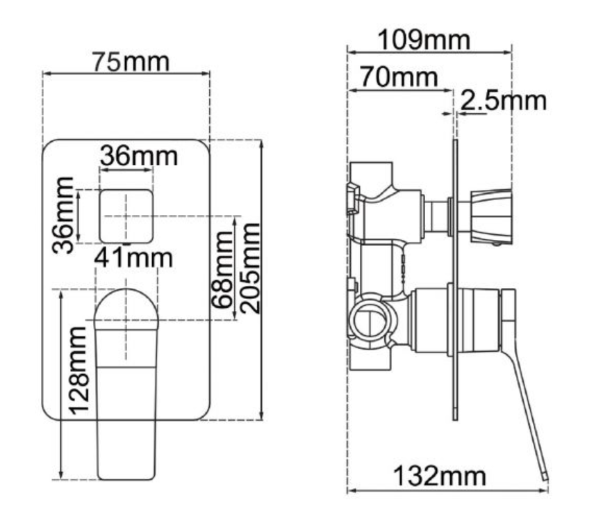 Rushy Wall Mixer with Diverter