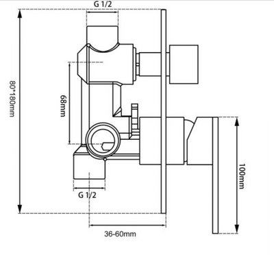 Blaze Wall Mixer with Diverter