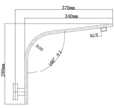 Cavallo Wall Mounted Gooseneck Shower Arm