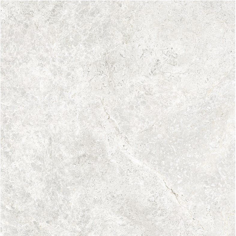 Arctic Tundra White Matt 600x600