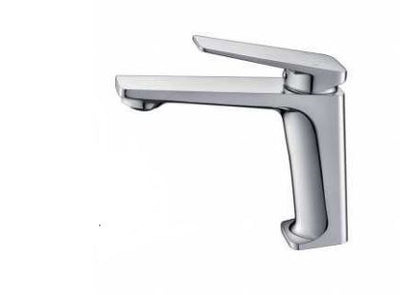 New Cavallo Basin Mixer