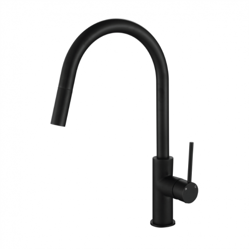 Star Gooseneck Kitchen Mixer