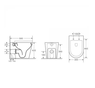 Zara Rimless Wall Faced Toilet Suite