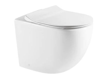 Raul Rimless Wall Faced Toilet Suite