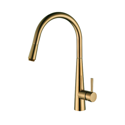 Kasper Pull Out Kitchen Mixer