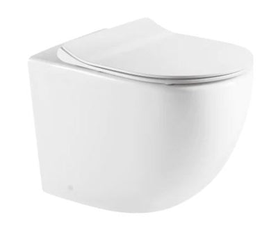 Raul Rimless Wall Faced Toilet Suite