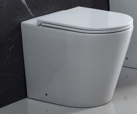 Zara Rimless Wall Faced Toilet Suite