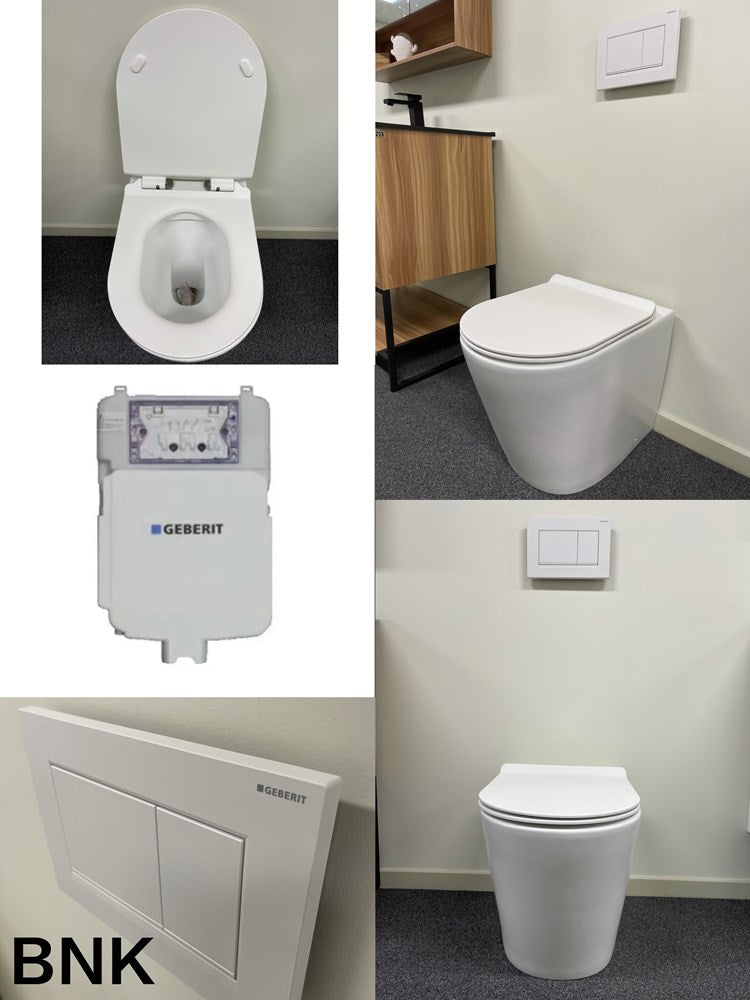 BNK In Wall Toilet With Flush Plate
