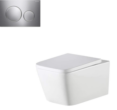 Munich WH Toilet With Round Push Plate