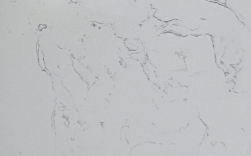 Cato Flat Stone Top With No Hole